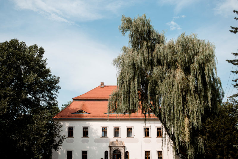 slub w palacu mojecice - naturalna fotografia slubna